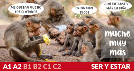 Mucho, muy y más