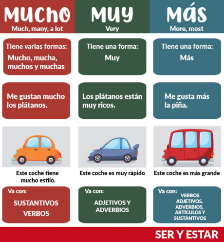 Mucho, muy y más. - Ser y Estar | Aprende Español Online